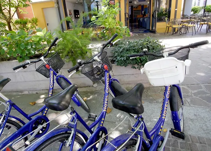 Condor Hotel Bellaria-Igea Marina